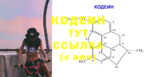 амф Алексин