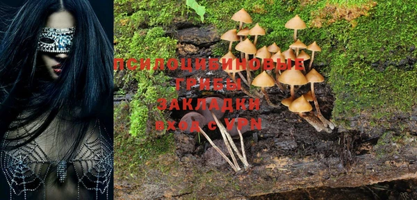 первитин Алексеевка