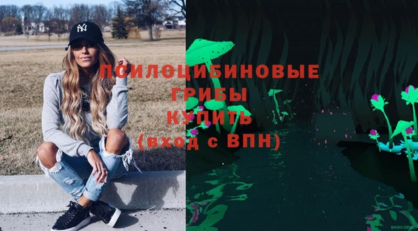первитин Алексеевка