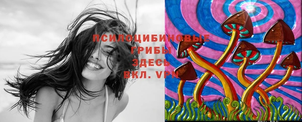 первитин Алексеевка