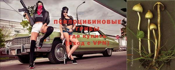 первитин Алексеевка