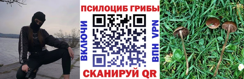 Галлюциногенные грибы мухоморы  магазин    Ачинск 